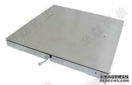 雙層電子地磅秤