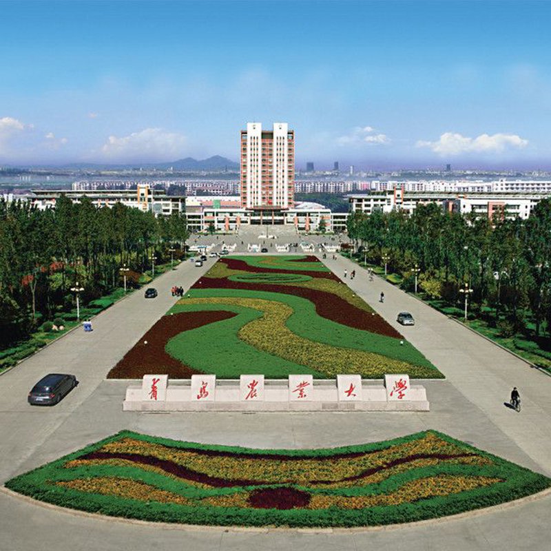 莱阳市城市总体规划图:故事叙述类